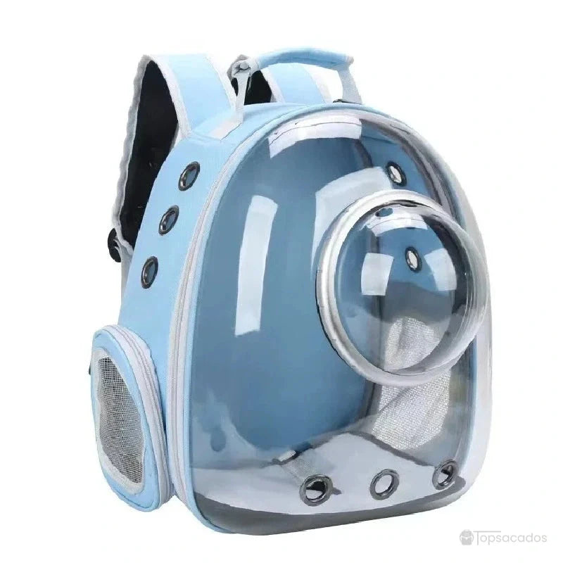 Sac à dos chat avec hublot en bleu ciel, coque bombée transparente avec grille de ventilation latérale et poignée rembourrée.