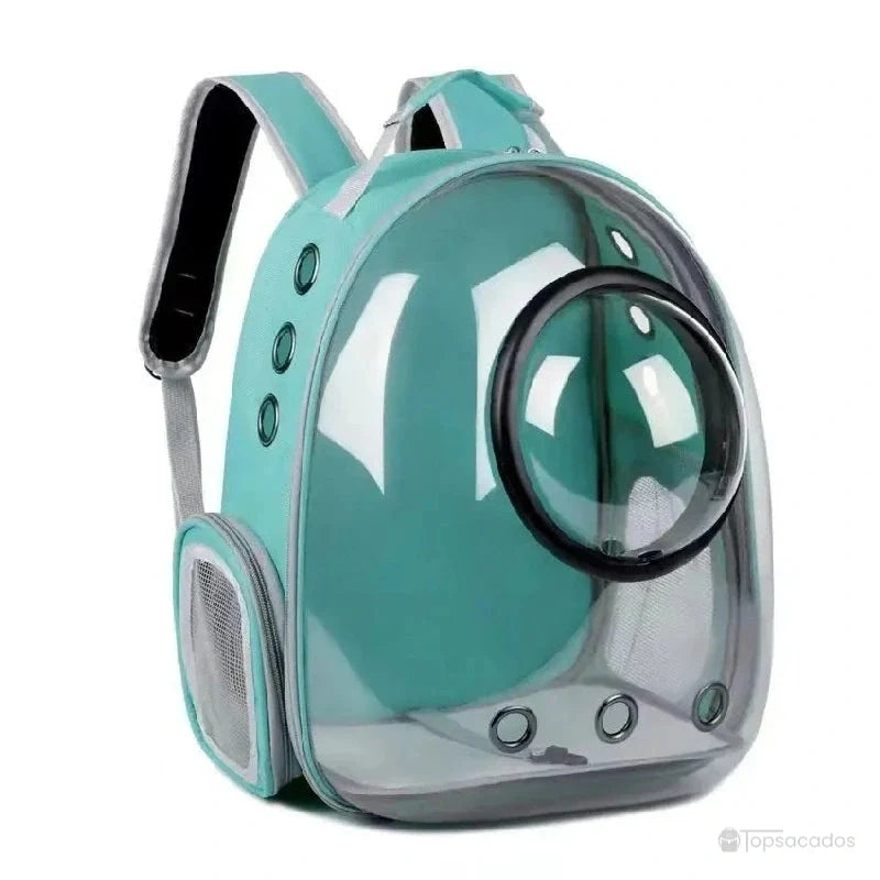 Sac à dos chat avec hublot vert clair, coque rigide transparente et grille latérale pour une aération optimale.