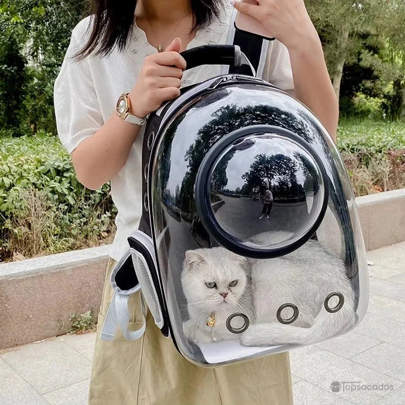 Sac à dos chat avec hublot porté par une femme en extérieur, contenant un chat blanc visible à travers la coque transparente.
