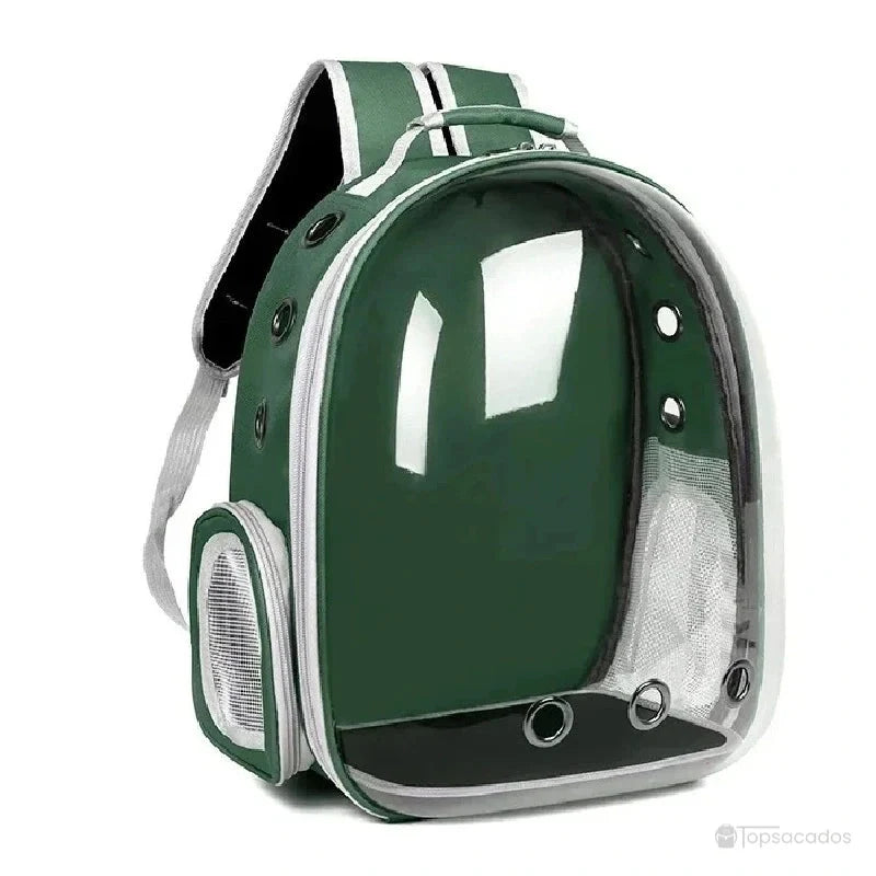 Sac à dos chat vert avec coque transparente, aérations rondes et poche latérale en maille.