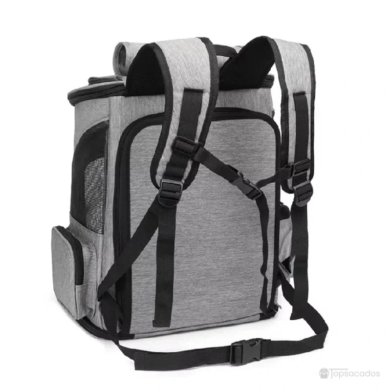 Sac à dos chat pliable vu de dos avec bretelles larges, rembourrées et sangles ajustables pour un port ergonomique