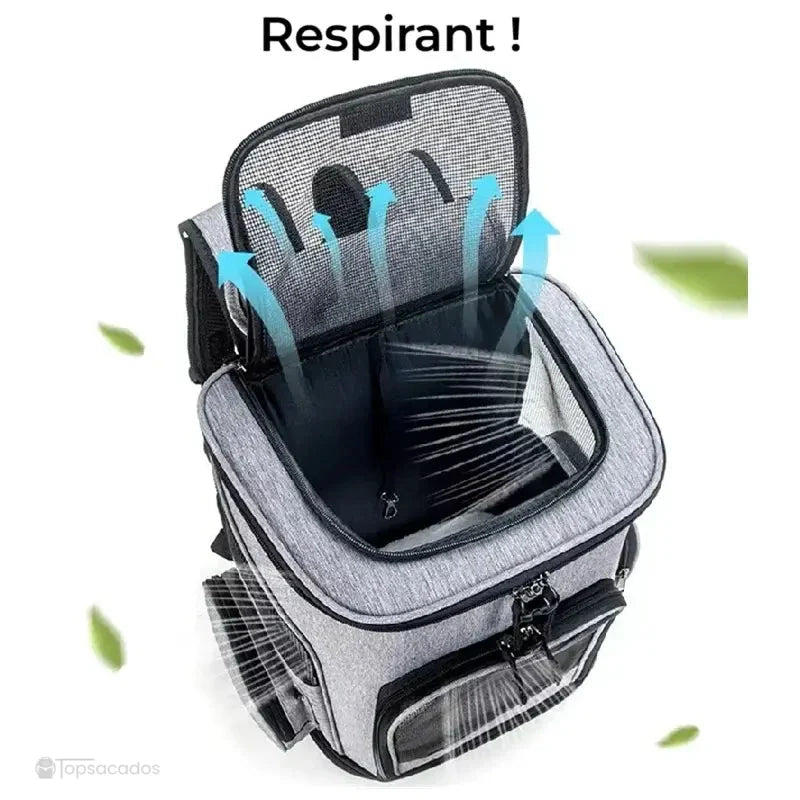Sac à dos chat pliable ouvert vu du dessus, montrant une circulation d’air avec filet supérieur respirant et flèches indiquant la ventilation