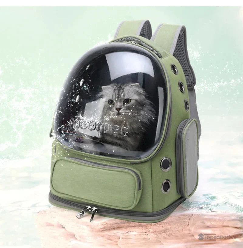 Sac à dos chat premium vert posé dans une pièce avec un chat gris à l’intérieur derrière la coque transparente, résistant à l’eau et aux éclaboussures.