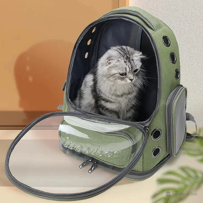 Sac à dos chat premium vert ouvert à l’avant, montrant un chat gris assis à l’intérieur dans un environnement intérieur, avec une coque rigide transparente rabattue.
