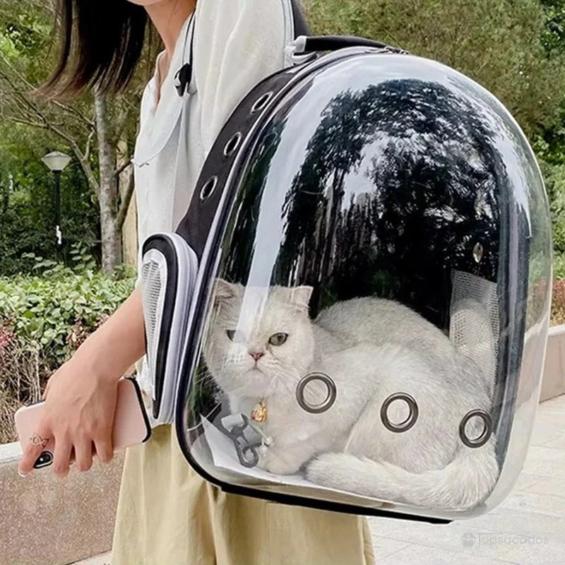 Sac à dos chat transparent porté à l’épaule, montrant un chat blanc confortablement installé à l’intérieur.