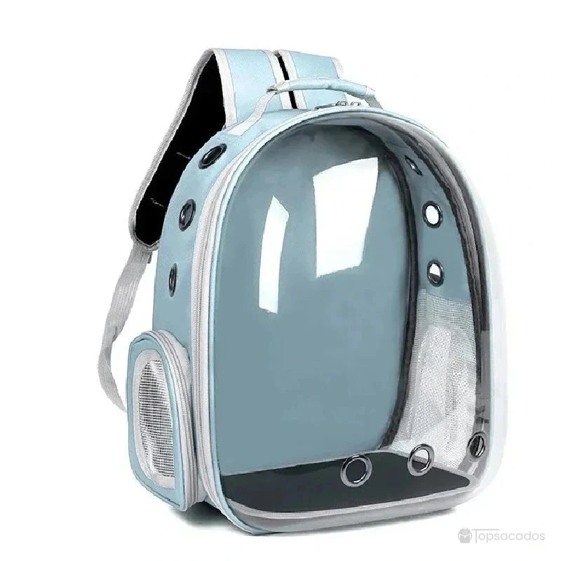 Sac à dos chat bleu clair avec coque rigide transparente et poche latérale en maille aérée.