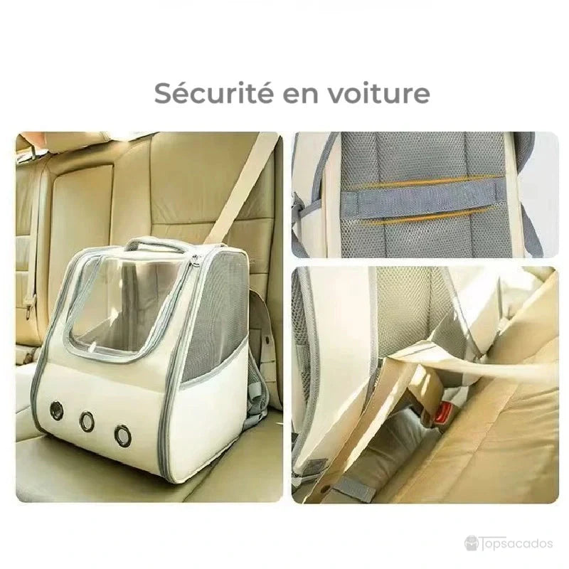 Sac à dos chaton sécurisé à une ceinture sur une banquette de voiture, avec détails sur les fixations pour le transport auto.