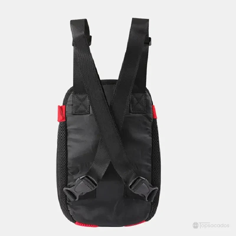 Sac à dos et ventral chat noir, vue arrière montrant les sangles croisées ajustables et le dos rembourré, sur fond gris clair.