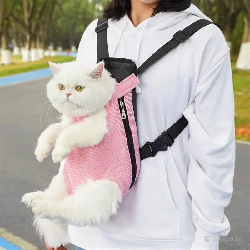 Sac à dos et ventral chat rose clair porté par une personne, avec un chat blanc détendu, promenade en extérieur sur chemin bordé d’arbres.