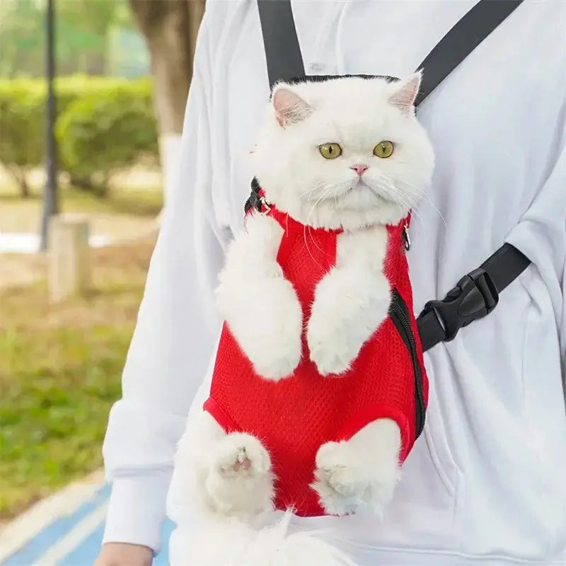 Sac à dos et ventral chat rouge porté par une personne, avec un chat blanc installé confortablement, environnement urbain en arrière-plan.