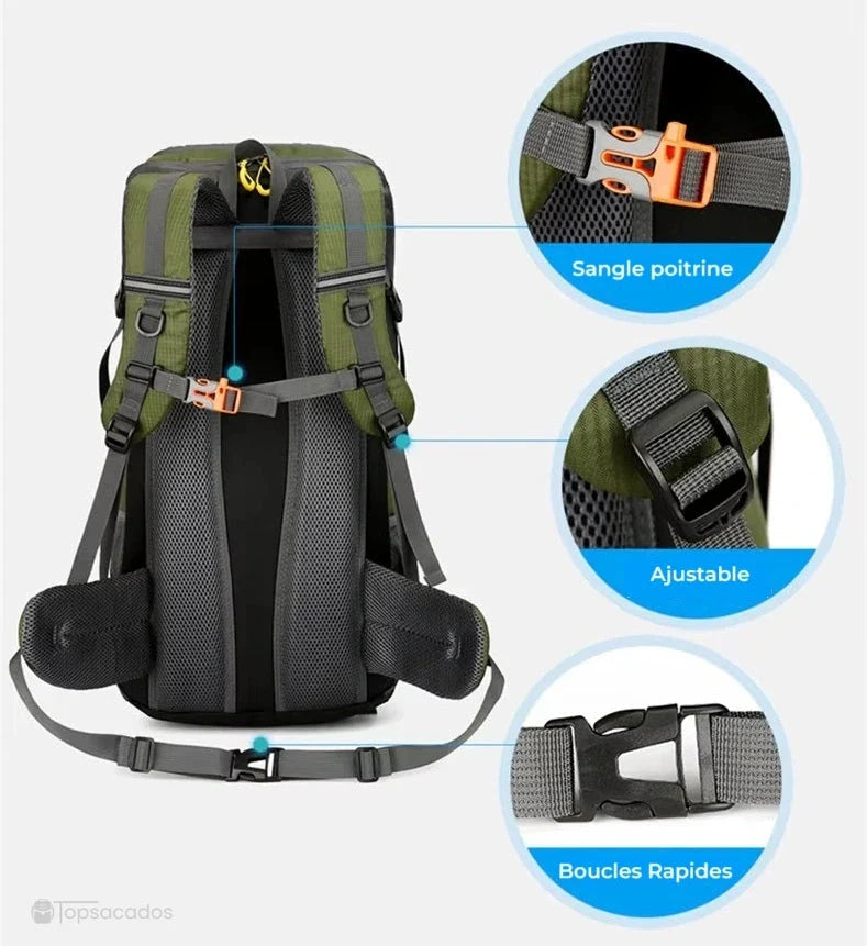 Sac à dos randonnée 50 litres vert vu de dos avec focus sur sangle poitrine, boucle rapide et bretelles ajustables confortables.