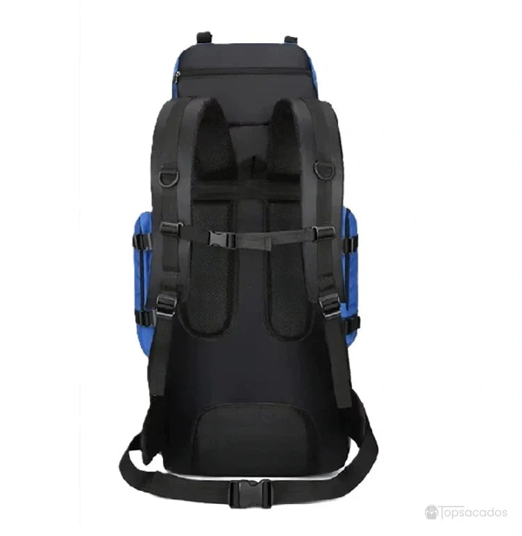 Sac à dos randonnée vue arrière montrant les sangles ajustables et le rembourrage dorsal pour un port confortable.