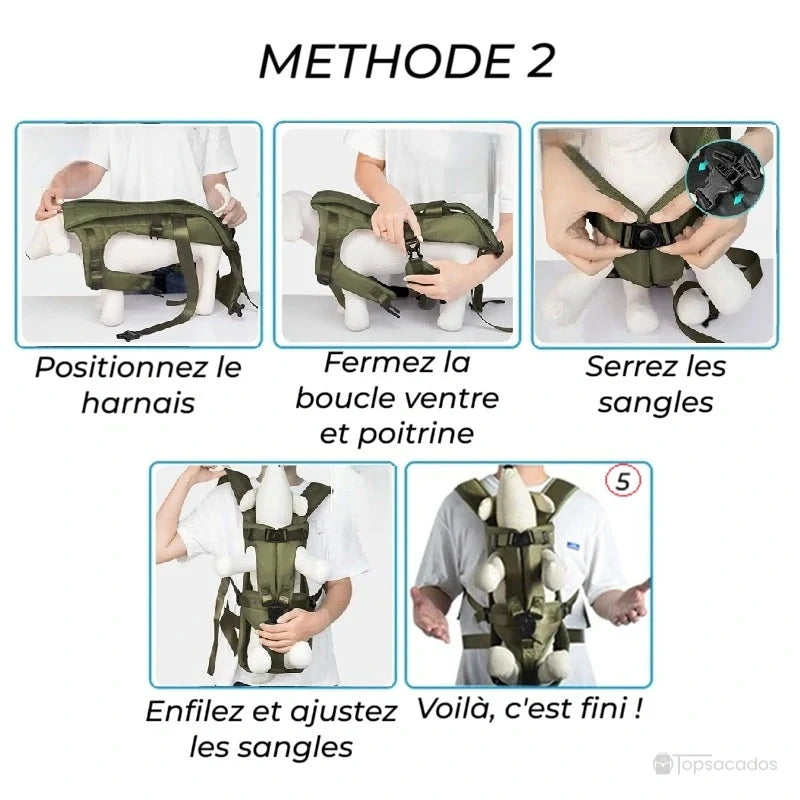Sac à dos ventral chien méthode 2 : positionnement allongé du chien et fixation par sangle ventrale