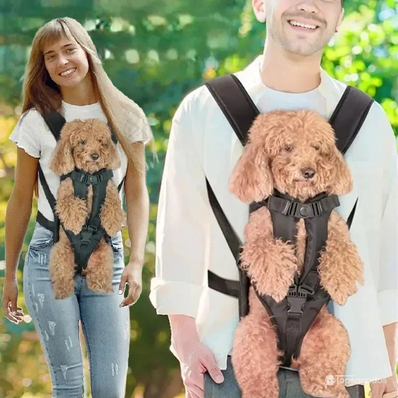 Sac à dos ventral chien porté par un homme et une femme en extérieur, avec caniche confortablement installé