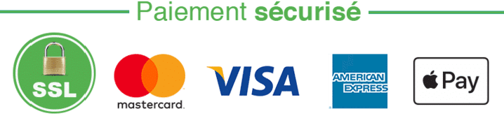 Bannière de paiement sécurisé affichant le logo SSL et les moyens de paiement acceptés : Mastercard, Visa, American Express et Apple Pay sur fond blanc. Garantie d’un paiement en ligne sécurisé pour vos achats.