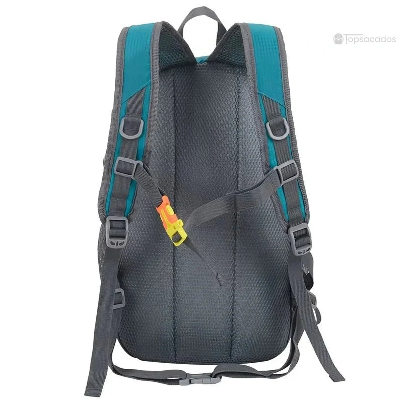 Petit Sac à dos randonnée vu de dos avec bretelles ajustables, mousse respirante et boucle de sécurité ventrale.