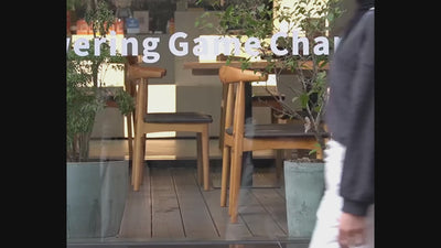video-sac-femme-chic