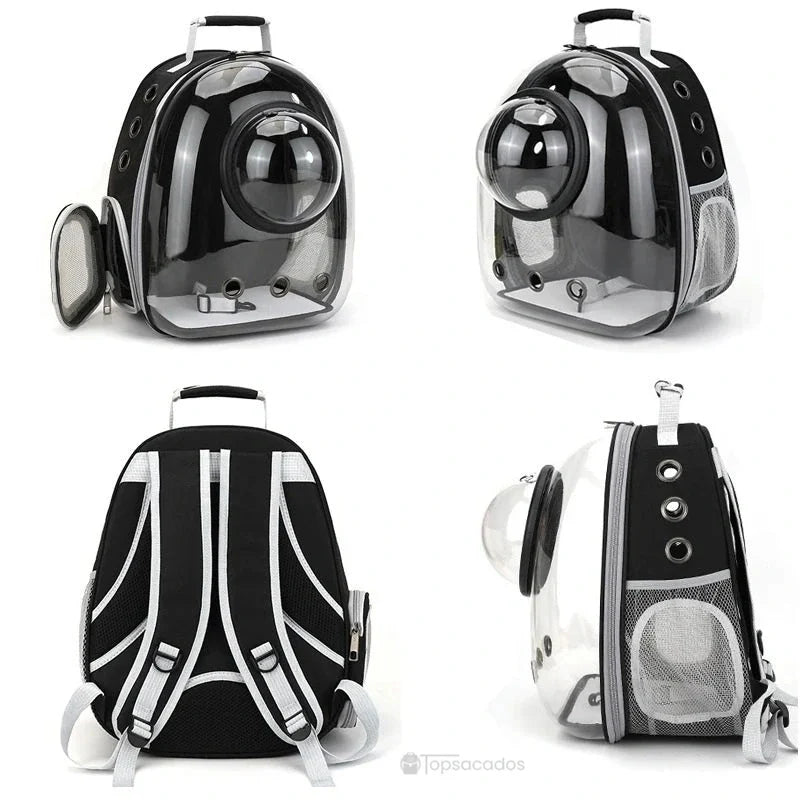 Sac à dos chat avec hublot noir vu sous quatre angles différents, montrant la coque transparente, les aérations et les bretelles matelassées.