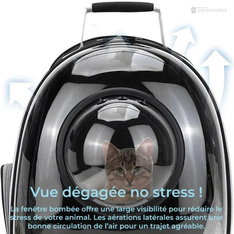 Sac à dos chat avec hublot transparent montrant un chat gris à l’intérieur, illustrant la large visibilité anti-stress et la bonne aération.