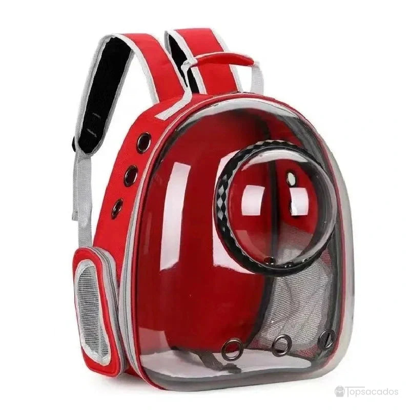 Sac à dos chat avec hublot rouge vif doté d’une coque rigide transparente et d’œillets d’aération circulaires.