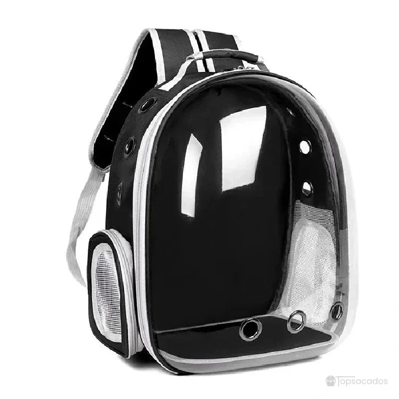 Sac à dos chat noir avec coque rigide transparente et aérations en métal pour transporter un chat en toute sécurité.