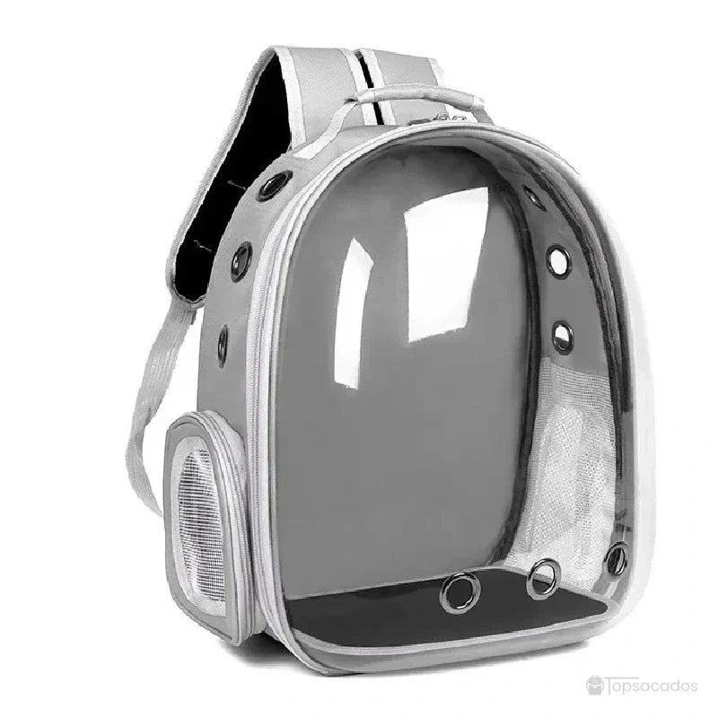 Sac à dos chat gris clair avec coque rigide transparente, adapté au transport des animaux.