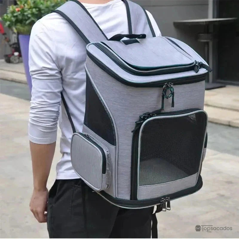 Sac à dos chat pliable porté par un homme en extérieur urbain, avec dos droit et bretelles ajustées