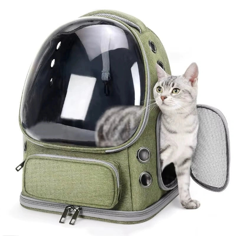Sac à dos chat premium vert avec chat gris assis à moitié à l’intérieur et la tête à l’extérieur par l’ouverture latérale zippée.