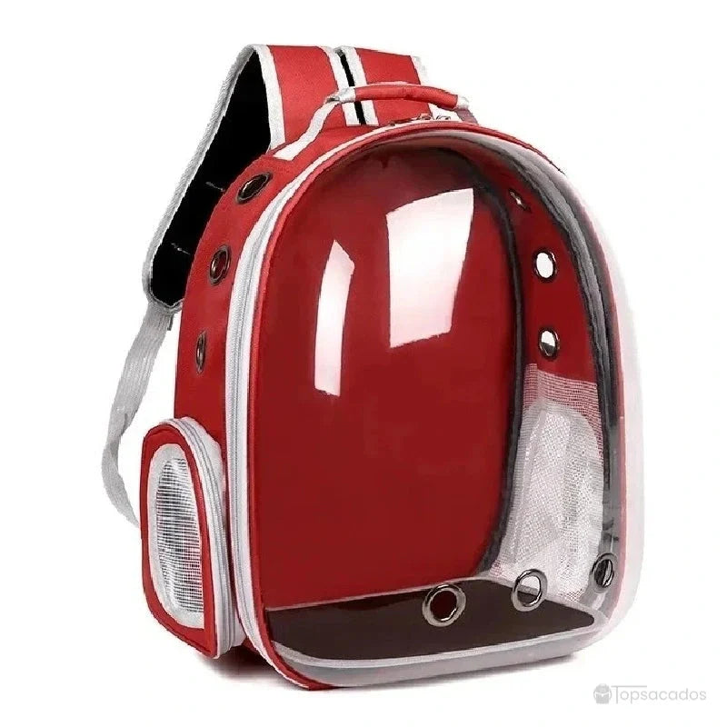 Sac à dos chat rouge vif avec coque transparente et système de ventilation intégré.