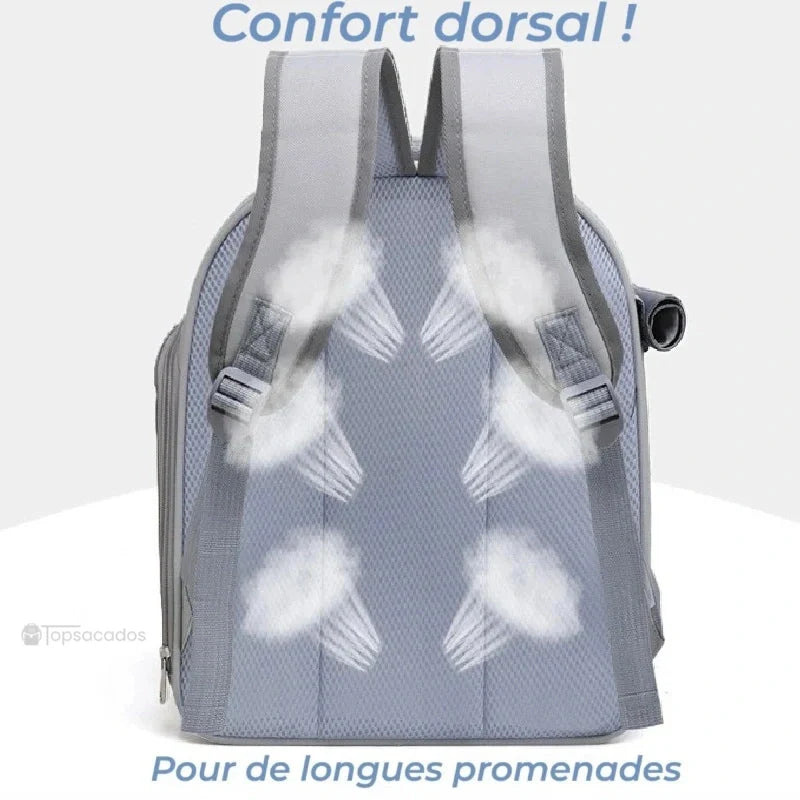 sac a dos chat transparent vu de dos, doté de bretelles matelassées respirantes pour un confort dorsal lors des longues promenades