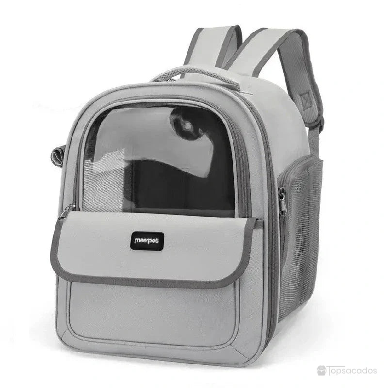 sac a dos chat transparent gris clair avec large fenêtre en plastique et côtés en maille, modèle sobre et moderne