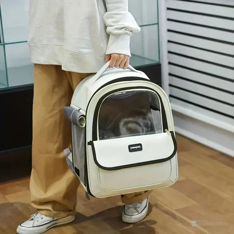 sac a dos chat transparent porté à la main dans un environnement intérieur moderne, montrant un chat visible à travers la vitre