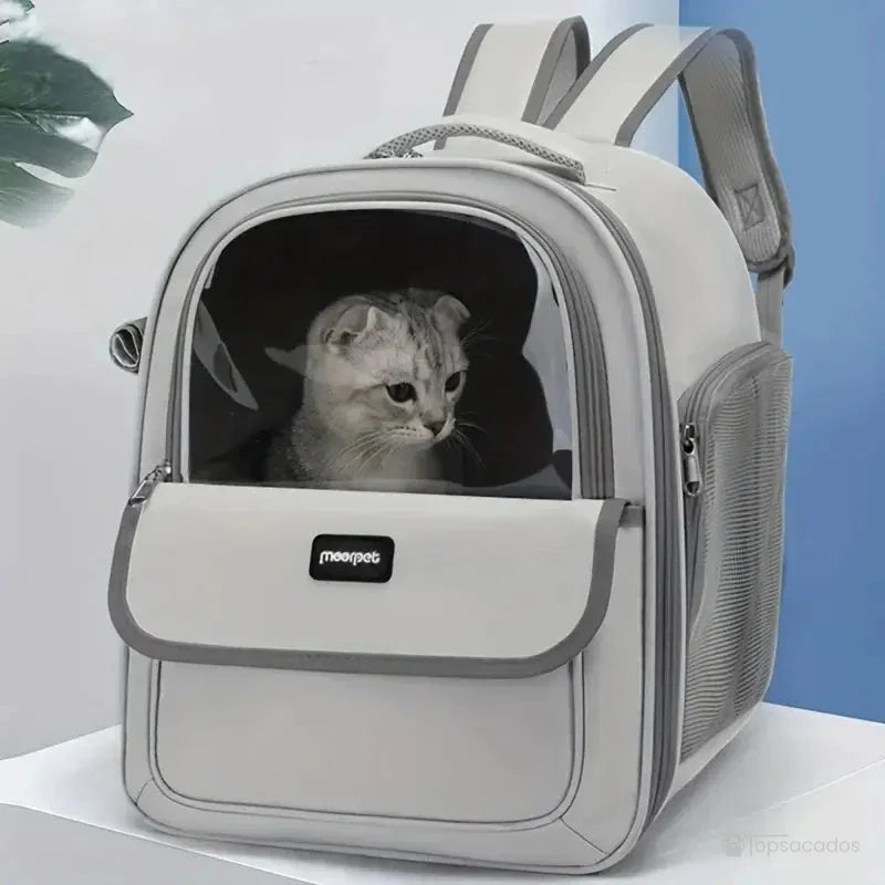 sac a dos chat transparent avec un chat gris visible à travers la vitre bombée, posé dans un environnement lumineux et calme