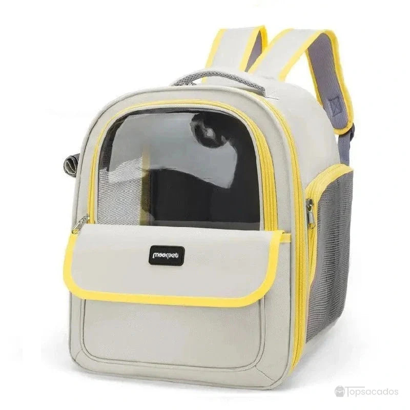 sac a dos chat transparent avec finitions jaunes vives, poche frontale et côtés en maille filet, parfait pour les sorties animées