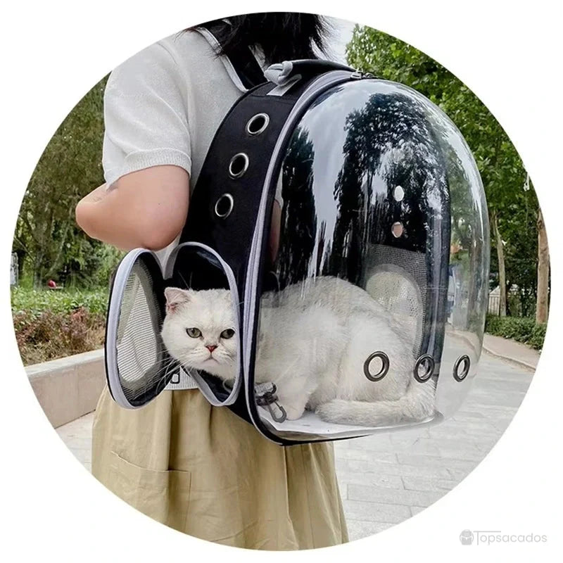 Sac à dos chat porté par une femme, avec un chat blanc à l’intérieur, dans un parc arboré.