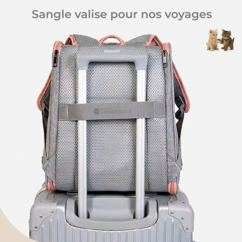 Sac à dos chaton fixé sur une valise à roulettes grâce à une sangle arrière prévue pour les déplacements en voyage.