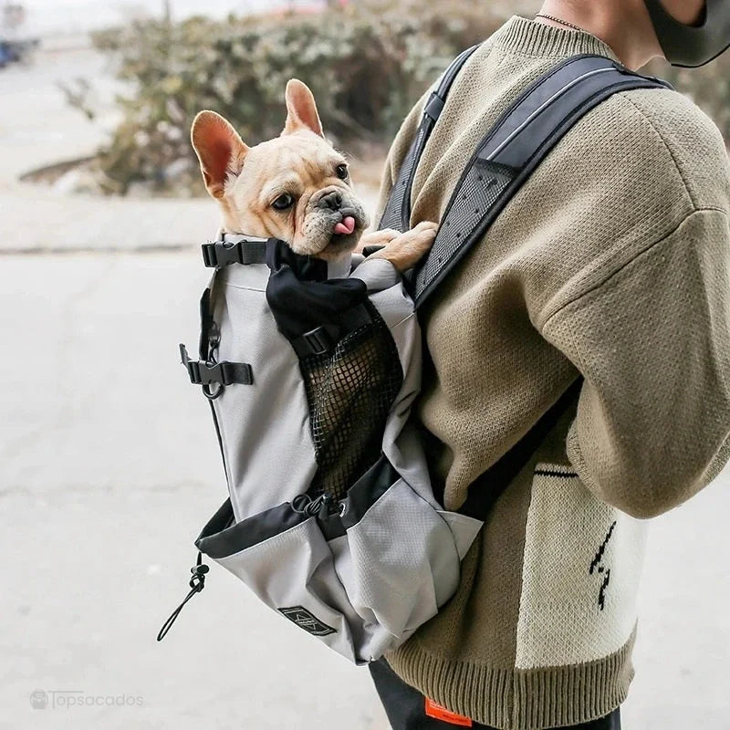 sac a dos chien gris clair avec bouledogue français à l'intérieur, porté par un homme en extérieur urbain