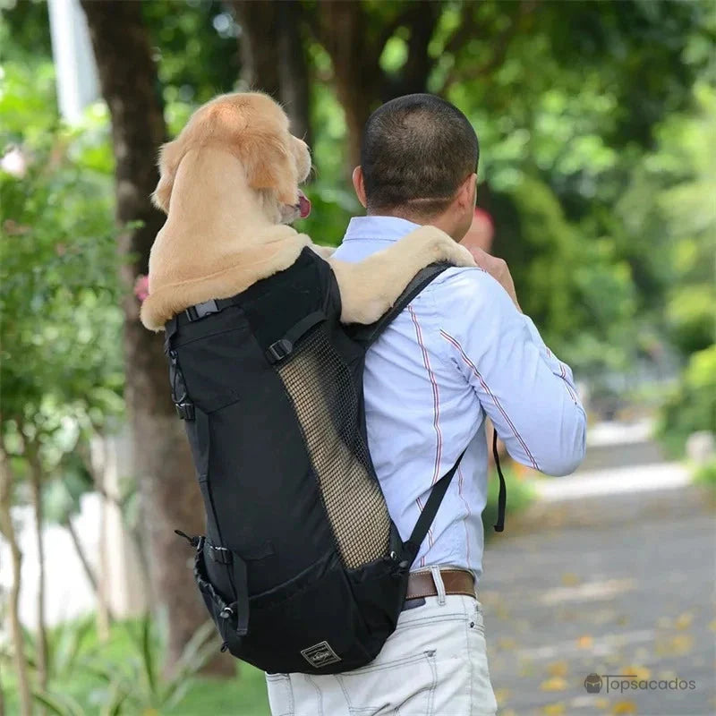 sac a dos chien noir utilisé pour transporter un labrador, porté par un homme dans un parc arboré