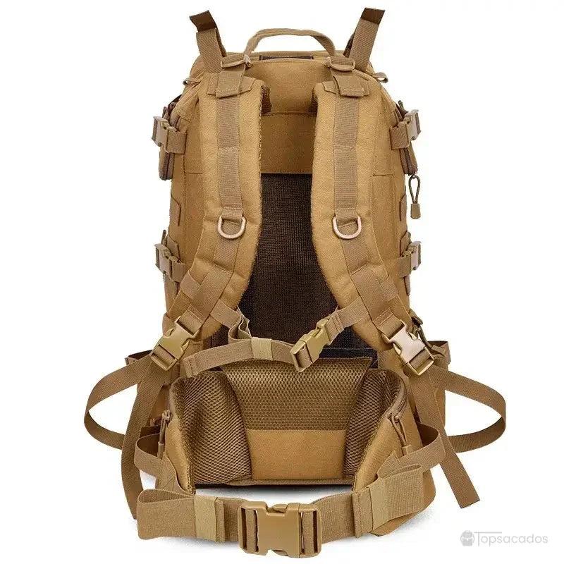 Sac à dos tactique vu de dos, avec sangles épaisses, système de maintien dorsal et ceinture abdominale ergonomique, posé sur fond blanc neutre.