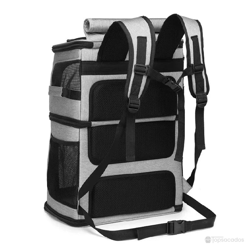 Sac à dos transport chat duo - vue arrière montrant les bretelles épaisses et la sangle ventrale, fond blanc neutre.